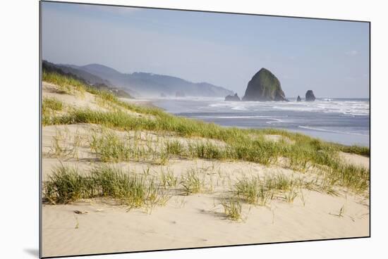 Cannon Beach and Haystack Rock, Oregon, USA-Jamie & Judy Wild-Mounted Photographic Print