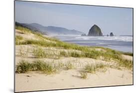 Cannon Beach and Haystack Rock, Oregon, USA-Jamie & Judy Wild-Mounted Photographic Print