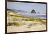 Cannon Beach and Haystack Rock, Oregon, USA-Jamie & Judy Wild-Framed Photographic Print