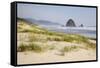 Cannon Beach and Haystack Rock, Oregon, USA-Jamie & Judy Wild-Framed Stretched Canvas