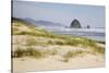 Cannon Beach and Haystack Rock, Oregon, USA-Jamie & Judy Wild-Stretched Canvas