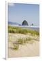 Cannon Beach and Haystack Rock, Oregon, USA-Jamie & Judy Wild-Framed Photographic Print