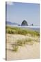 Cannon Beach and Haystack Rock, Oregon, USA-Jamie & Judy Wild-Stretched Canvas