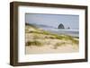 Cannon Beach and Haystack Rock, Oregon, USA-Jamie & Judy Wild-Framed Photographic Print