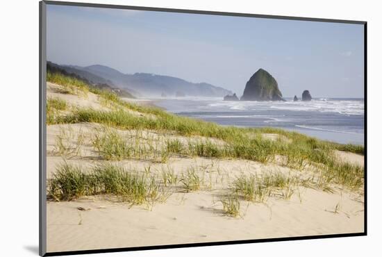 Cannon Beach and Haystack Rock, Oregon, USA-Jamie & Judy Wild-Mounted Photographic Print