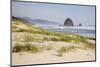 Cannon Beach and Haystack Rock, Oregon, USA-Jamie & Judy Wild-Mounted Photographic Print