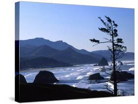 Cannon Beach from Ecola State Park, Oregon, USA-Janell Davidson-Stretched Canvas