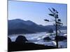 Cannon Beach from Ecola State Park, Oregon, USA-Janell Davidson-Mounted Photographic Print