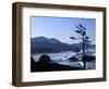 Cannon Beach from Ecola State Park, Oregon, USA-Janell Davidson-Framed Photographic Print