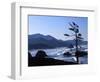 Cannon Beach from Ecola State Park, Oregon, USA-Janell Davidson-Framed Photographic Print