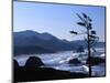 Cannon Beach from Ecola State Park, Oregon, USA-Janell Davidson-Mounted Photographic Print