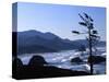 Cannon Beach from Ecola State Park, Oregon, USA-Janell Davidson-Stretched Canvas