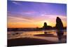 Cannon Beach IV-Ike Leahy-Mounted Photographic Print