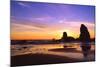 Cannon Beach IV-Ike Leahy-Mounted Photographic Print
