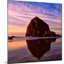 Cannon Beach IX-Ike Leahy-Mounted Photographic Print