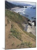 Cannon Beach, Lewis and Clark Trail, Ecola State Park, Oregon, USA-Connie Ricca-Mounted Photographic Print