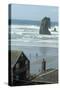 Cannon Beach, Oregon. People Walking with Dog-Natalie Tepper-Stretched Canvas