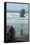Cannon Beach, Oregon. People Walking with Dog-Natalie Tepper-Framed Stretched Canvas