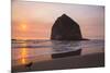 Cannon Beach, Oregon. Two seagulls on the wet beach bask in sunset at the Haystack Mountains,-Jolly Sienda-Mounted Photographic Print