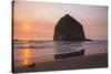 Cannon Beach, Oregon. Two seagulls on the wet beach bask in sunset at the Haystack Mountains,-Jolly Sienda-Stretched Canvas