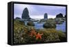 Cannon Beach Panoramic-Steve Terrill-Framed Stretched Canvas