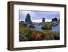 Cannon Beach Panoramic-Steve Terrill-Framed Photographic Print