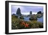 Cannon Beach Panoramic-Steve Terrill-Framed Photographic Print