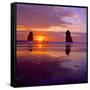 Cannon Beach VIII-Ike Leahy-Framed Stretched Canvas