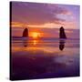 Cannon Beach VIII-Ike Leahy-Stretched Canvas