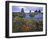 Cannon Beach-Steve Terrill-Framed Photographic Print