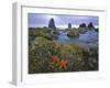 Cannon Beach-Steve Terrill-Framed Photographic Print