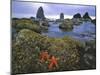 Cannon Beach-Steve Terrill-Mounted Photographic Print