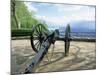 Cannon in Point Park Overlooking Chattanooga City, Chattanooga, Tennessee, United States of America-Gavin Hellier-Mounted Photographic Print