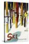 Cannon Mountain, New Hampshire - Colorful Skis-Lantern Press-Stretched Canvas