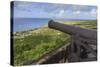 Cannon Points Towards the Sea-Eleanor Scriven-Stretched Canvas