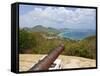 Cannons on Carriacou, Grenada, Windward Islands, West Indies, Caribbean, Central America-Michael DeFreitas-Framed Stretched Canvas
