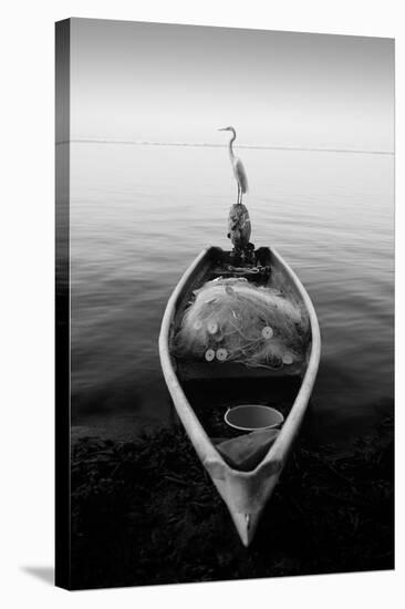 Canoe And A Heron-Moises Levy-Stretched Canvas