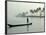 Canoe at Dawn on Backwaters, Alleppey District, Kerala, India, Asia-Annie Owen-Framed Photographic Print