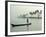 Canoe at Dawn on Backwaters, Alleppey District, Kerala, India, Asia-Annie Owen-Framed Photographic Print