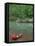 Canoe by the Big Piney River, Arkansas-Gayle Harper-Framed Stretched Canvas