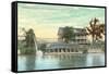 Canoe Club, Indianapolis, Indiana-null-Framed Stretched Canvas