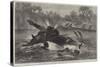 Canoe Destroyed by a Hippopotamus on the River Zambesi, South Africa-null-Stretched Canvas