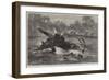 Canoe Destroyed by a Hippopotamus on the River Zambesi, South Africa-null-Framed Giclee Print