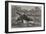 Canoe Destroyed by a Hippopotamus on the River Zambesi, South Africa-null-Framed Giclee Print