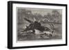 Canoe Destroyed by a Hippopotamus on the River Zambesi, South Africa-null-Framed Giclee Print