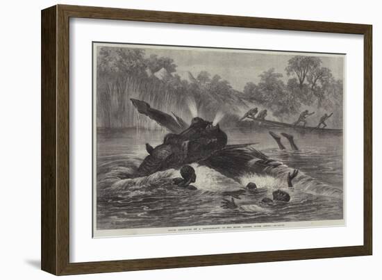 Canoe Destroyed by a Hippopotamus on the River Zambesi, South Africa-null-Framed Premium Giclee Print