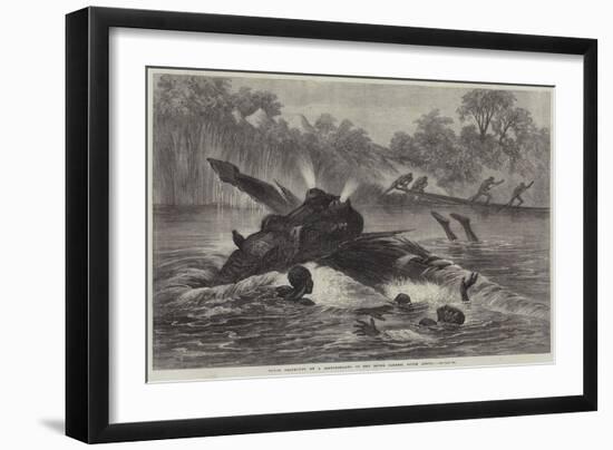 Canoe Destroyed by a Hippopotamus on the River Zambesi, South Africa-null-Framed Premium Giclee Print