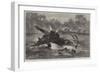 Canoe Destroyed by a Hippopotamus on the River Zambesi, South Africa-null-Framed Premium Giclee Print
