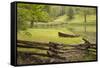 Canoe & Fence-Monte Nagler-Framed Stretched Canvas