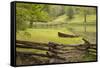 Canoe & Fence-Monte Nagler-Framed Stretched Canvas